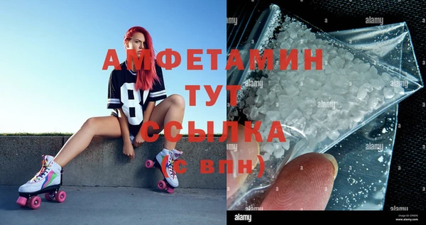 сатива Верхний Тагил