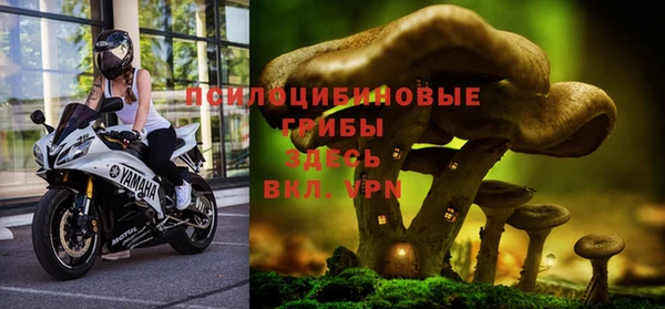 spice Бородино