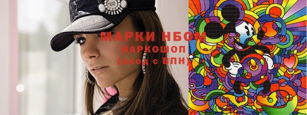 spice Бородино