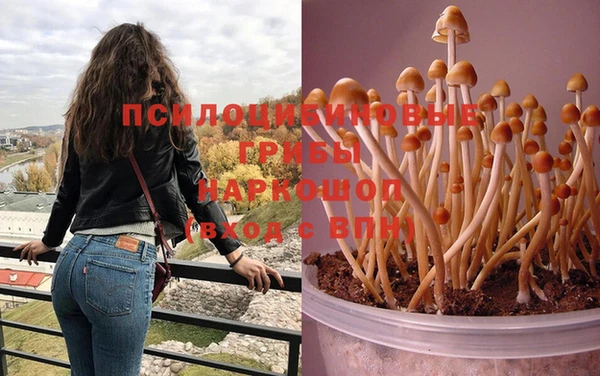 первитин Верея