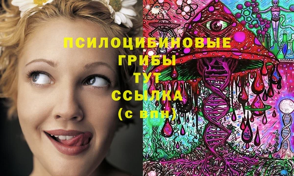 spice Бородино
